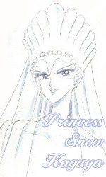 Placeholder for Princess Snow Kaguya
